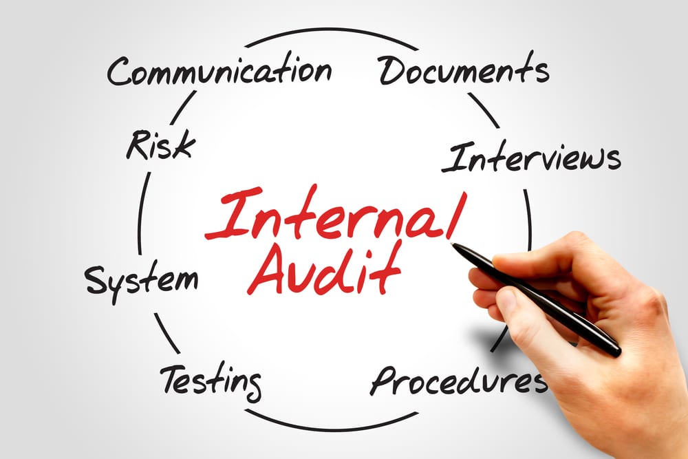 how-to-establish-the-internal-audit-department-in-8-simple-steps